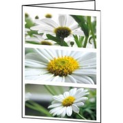 sigel Greeting Card, Design "Romance", A6 (A5), 220 g/m², DC171 sigel Greeting Card, Design "Romance", A6 (A5), 220 g/m², DC171