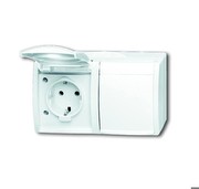 Busch-Jaeger Socket, horizontal, double, hinged cover, 20/2 EW-54 Busch-Jaeger Socket, horizontal, double, hinged cover, 20/2 EW-54
