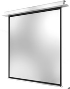 celexon Ceiling Recessed Motor Pro Plus 240 x 240 cm celexon Ceiling Recessed Motor Pro Plus 240 x 240 cm