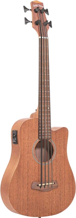Gold Tone Micro Bass 23 Gold Tone Micro Bass 23