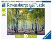 Ravensburger Birch Forest Puzzle Ravensburger Birch Forest Puzzle