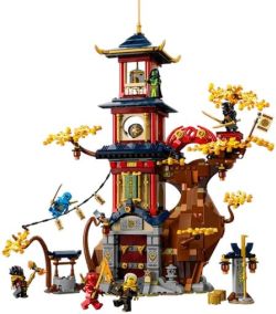 LEGO NINJAGO Temple of Dragon Power (71795) LEGO NINJAGO Temple of Dragon Power (71795)