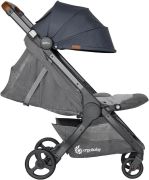 Ergobaby Metro+ Deluxe Ergobaby Metro+ Deluxe
