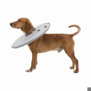 Trixie Protective collar L Trixie Protective collar L