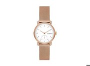 Skagen Dome Lille (SKW3099) Skagen Dome Lille (SKW3099)