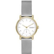 Skagen Dome Lille (SKW3101) Skagen Dome Lille (SKW3101)