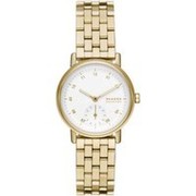 Skagen Dome Lille (SKW3102) Skagen Dome Lille (SKW3102)