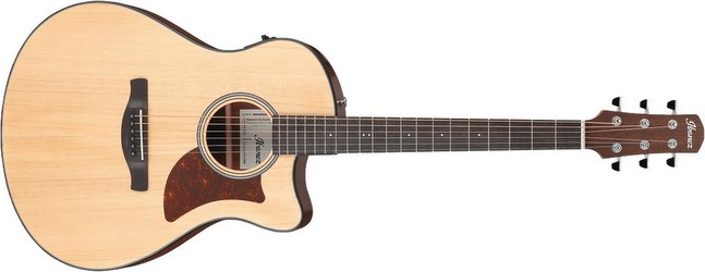 Ibanez AAM50CE Ibanez AAM50CE