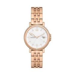 Skagen Signatur Sport (SKW3136) Skagen Signatur Sport (SKW3136)
