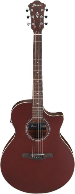 Ibanez AE100 Ibanez AE100