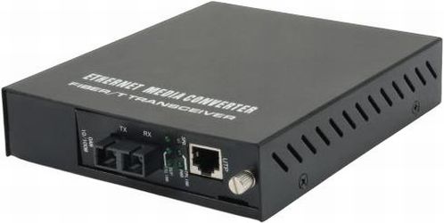 LevelOne FVM-1101 LevelOne FVM-1101