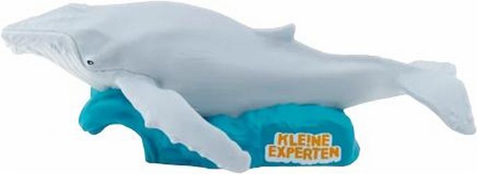tonies KLE!NE EXPERTEN ...diving with whales tonies KLE!NE EXPERTEN ...diving with whales