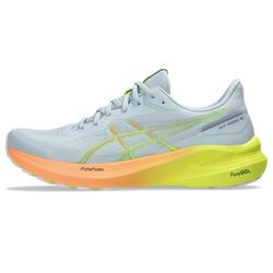 Asics GT-1000 13 Men Asics GT-1000 13 Men
