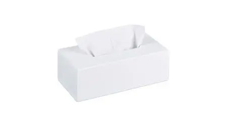 Relaxdays Cosmetic Tissue Box Bamboo (10023252) Relaxdays Cosmetic Tissue Box Bamboo (10023252)