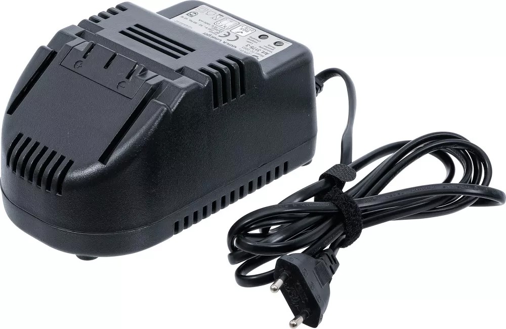 BGS Charger (3175-3) BGS Charger (3175-3)