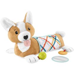 Fisher-Price 3-in-1 Puppy Play Cushion (HJW10) Fisher-Price 3-in-1 Puppy Play Cushion (HJW10)