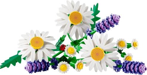 LEGO Botanicals Daisy (11508) LEGO Botanicals Daisy (11508)