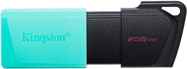 Kingston DataTraveler Exodia M 256GB (DTXM/256GB) Kingston DataTraveler Exodia M 256GB (DTXM/256GB)