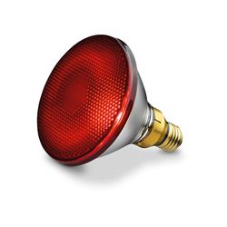 Beurer Replacement Bulb (616.51) Beurer Replacement Bulb (616.51)