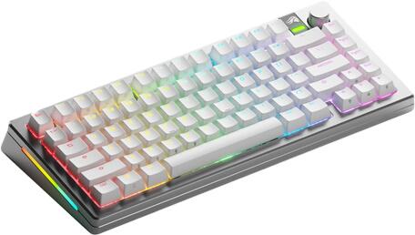 Glorious Gaming GMMK 3 Pro Wireless 75% Prebuilt silver US (GLO-KB-GMMK3-PRO-75-PB-FOX-WL-SIL-US) Glorious Gaming GMMK 3 Pro Wireless 75% Prebuilt silver US (GLO-KB-GMMK3-PRO-75-PB-FOX-WL-SIL-US)