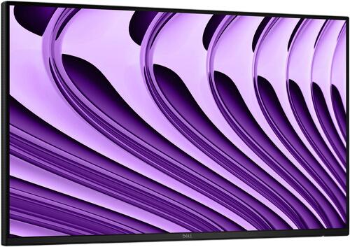 Dell Pro P P2426HEWO Dell Pro P P2426HEWO