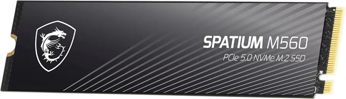 MSI Spatium M560 1TB (S78-440L0F0-P83) MSI Spatium M560 1TB (S78-440L0F0-P83)