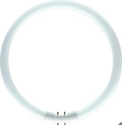 PHILIPS TL5 C 60W/840 Circular Fluorescent Lamp White PHILIPS TL5 C 60W/840 Circular Fluorescent Lamp White