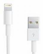 Apple Lightning to USB Cable 0.5 m Apple Lightning to USB Cable 0.5 m