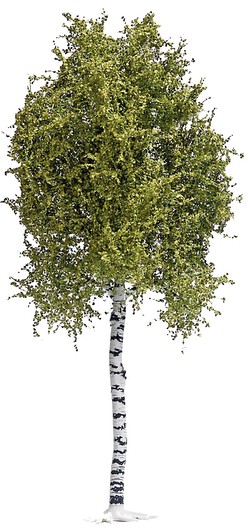 Busch Birch (3781) Busch Birch (3781)