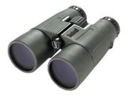 Bushnell