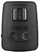 Cactus V5 Cactus V5