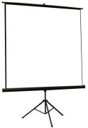 celexon Economy 158 x 118 celexon Economy 158 x 118