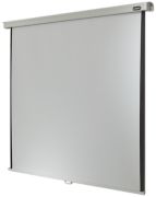 celexon Professional roller blind 200 x 200 celexon Professional roller blind 200 x 200
