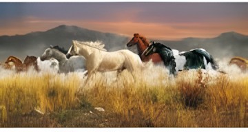 Clementoni Band of Thunder Puzzle 13200 pieces Clementoni Band of Thunder Puzzle 13200 pieces