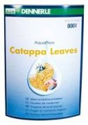 Dennerle Catappa leaf Dennerle Catappa leaf