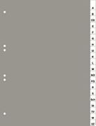 Durable 6401 Plastic index divider Durable 6401 Plastic index divider