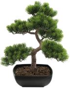 Europalms Bonsai Pine 50 cm Europalms Bonsai Pine 50 cm