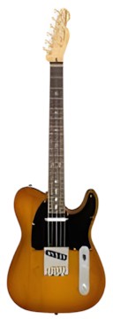 Fender American Performer Telecaster RW Fender American Performer Telecaster RW