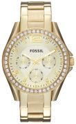 Fossil