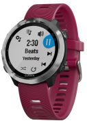 Garmin Forerunner 645 Music Garmin Forerunner 645 Music