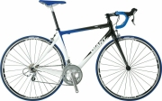 Giant TCR Composite 3 Giant TCR Composite 3