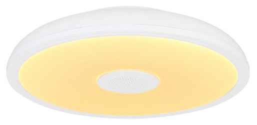 Globo Raffy Ceiling Light (41366W) Globo Raffy Ceiling Light (41366W)