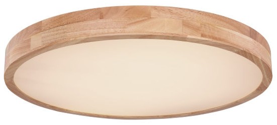 Globo Rainer ceiling light (41745-48) Globo Rainer ceiling light (41745-48)