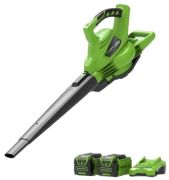GreenWorks GD40BVK2X GreenWorks GD40BVK2X