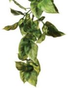 Hagen Exo Terra Amapallo small Hagen Exo Terra Amapallo small