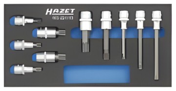 Hazet Screwdriver set (163-221/10) Hazet Screwdriver set (163-221/10)