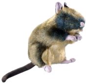 Hunter Dog Toy Wildlife Rat M Hunter Dog Toy Wildlife Rat M