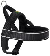 Hunter Norwegian Harness Racing M Hunter Norwegian Harness Racing M