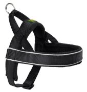Hunter Norwegian Harness Racing S Hunter Norwegian Harness Racing S