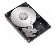 IBM 500GB (42D0752) IBM 500GB (42D0752)